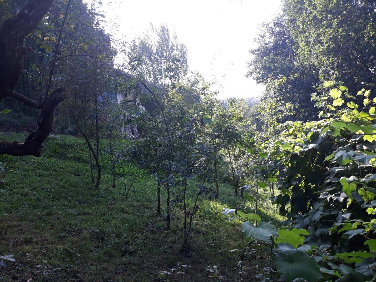 Hugoren Egoitza Zubialde Dış mekan fotoğraf