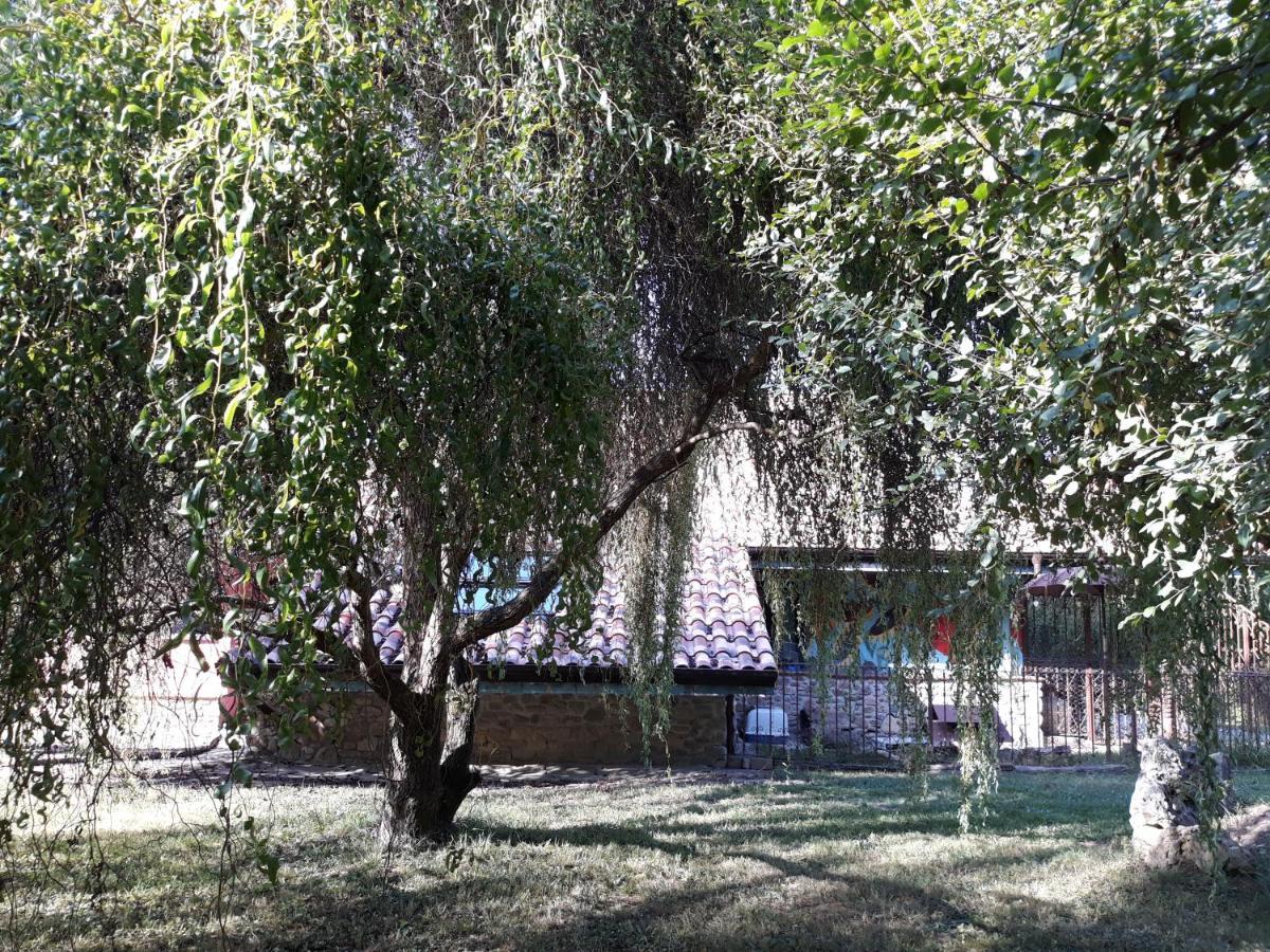 Hugoren Egoitza Zubialde Dış mekan fotoğraf